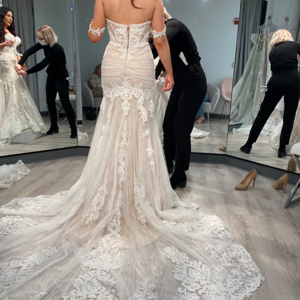 Wedding Dress - Picture 5 of 5